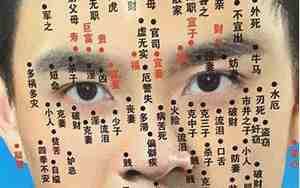 脸上黑毛是什么