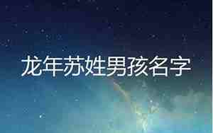 龙氏取名寓意