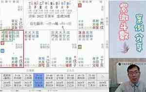紫微七杀在夫妻宫配偶长相