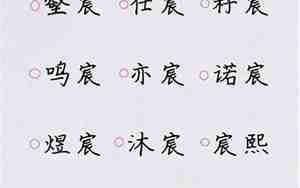 带沅字的霸气男孩名字大全