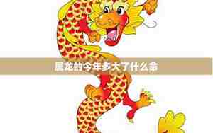 属龙的今年犯太岁吗