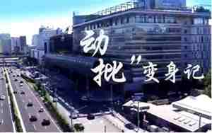 动批什么意思
