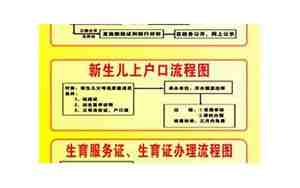 新生儿上户改名字流程及费用