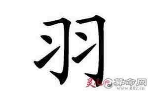 带羽的字一览表