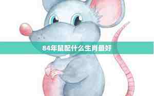鼠男配什么生肖最好