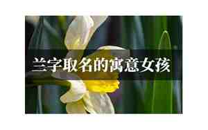 翔字取名的寓意是什么