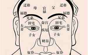 太阳在福德宫是什么意思