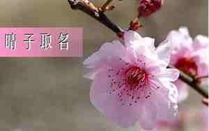 梅姓女孩取名两个字