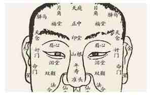 阳明师傅面相分析大全